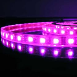 LEDIUM 24V RGBW, RGB+NW 4000K SMD LED szalag, 5050, beltéri 60 LED/m, 20W/m