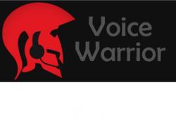 DevPossible VoiceWarrior (PC)