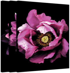 AA Design Set tablouri cu flori Ruby Rose (BNDRBRS393)