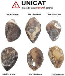 Cabochon din Fosil Scoica Agatizat Druzy de Forme Neregulate - 33-48 x 21-26 x 16-20 mm