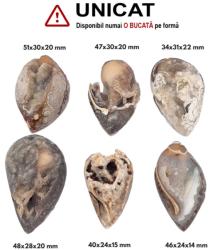 Cabochon din Fosil Scoica Agatatizat Druzy de Forme Neregulate - 40-51 x 24-31 x 14-20 mm