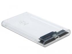 Delock 2.5 USB 3.1 (42617)