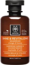 APIVITA Holistic Hair Care Șampon pentru îngrijirea părului și revitalizant cu Orange și Miere 250ml