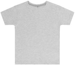SG Lighting Gyerek rövid ujjú póló SG Kids' Perfect Print Tagless Tee -128 (7-8/L), Hamuszürke