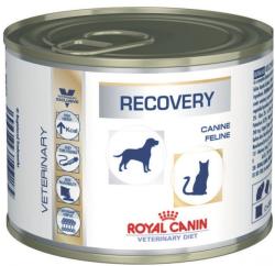 Royal Canin Recovery Liquid Canin/Feline 195 g