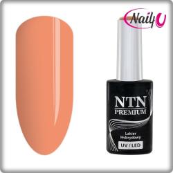 NTN Premium UV/LED 37# (kifutó szín)