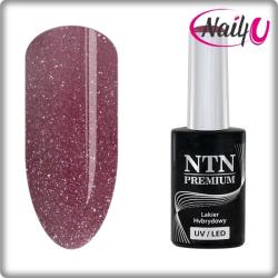 NTN Premium UV/LED 55#