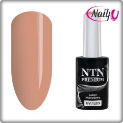 NTN Premium UV/LED 14#