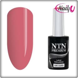 NTN Premium UV/LED 23#
