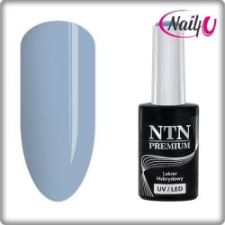 NTN Premium UV/LED 06#