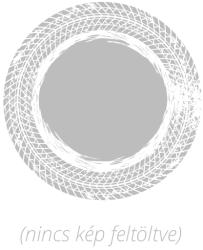 Sumitomo BC100 165/60 R14 75H