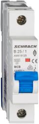 Schrack Intreruptor automat modular (MCB) AMPARO 6kA, B 25A, 1-pol (AM618125)