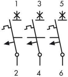 Schrack Intreruptor automat modular (MCB) AMPARO 6kA, B 6A, 3-poli (AM618306)