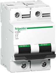 Schneider Electric C120H - Intreruptor - 2P - 100A - Curba B (A9N18414)