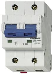 Schrack Intreruptor automat C 100A, 2 poli, 10kA (BR972910)