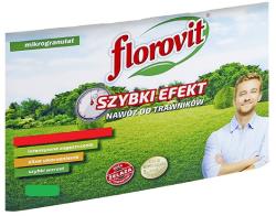 Florovit Ingrasamant specializat granulat Florovit pentru gazon cu efect rapid 25kg
