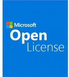 Microsoft Exchange Standard (381-02045)