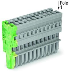 Wago 1-conductor female plug; 4 mm2; 15-pole; 4, 00 mm2; green-yellow, gray (769-115/000-037)
