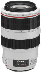 Canon EF 70-300mm f/4-5.6L IS USM (AC4426B005AA)