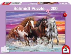 Schmidt Spiele Vadlovak a tengerparton 200 db-os (56356)