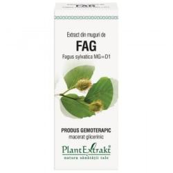 PlantExtrakt Extract din muguri de FAG, 50 ml, Plant Extrakt