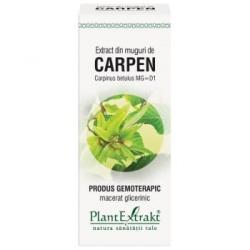 PlantExtrakt Extract din muguri de CARPEN, 50 ml, Plant Extrakt