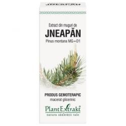 PlantExtrakt Extract din muguri de JNEAPAN, 50 ml, Plant Extrakt