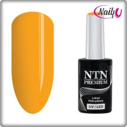 NTN Premium UV/LED 84#