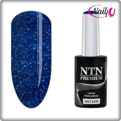 NTN Premium UV/LED 82#