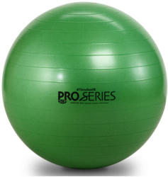 Thera-Band ProSeries Premium Gymnastic ball 65 cm (TH_12043)