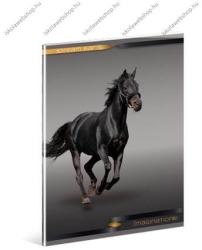 Ars Una Lovas/Horse - Fekete ló prémium kockás füzet, A4 - Ars Una (93116091_kockas_premium_a4)