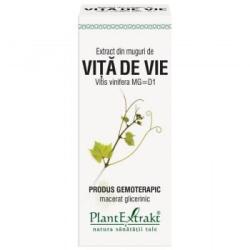 PlantExtrakt Extract din muguri de VITA DE VIE, 50 ml, Plant Extrakt