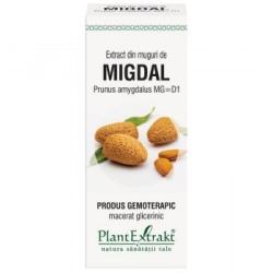 PlantExtrakt Extract din muguri de MIGDAL, 50 ml, Plant Extrakt