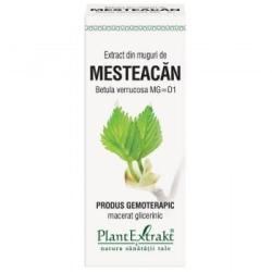 PlantExtrakt Extract din muguri de MESTEACAN, 50 ml, Plant Extrakt