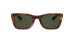 Ray-Ban RB2248 954/31