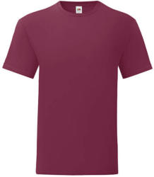 Fruit of the Loom Csomag akciós póló (minimum 3 db) Férfi rövid ujjú póló Fruit of the Loom Iconic 150 T -2XL, Burgundi vörös