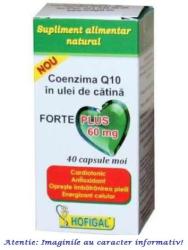 Hofigal Coenzima Q10 in Ulei de Catina Forte Plus 60 mg 40 capsule Hofigal