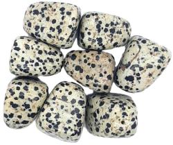  Jasp Dalmatian Rulat Natural - 24-26 x 17-23 mm - ( L ) - 1 Buc