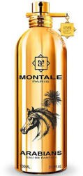 Montale Arabians EDP 50 ml