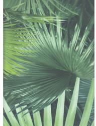 Rasch Tapet vlies Crispy Paper frunze de palmier, verde 10, 05x0, 53 m (524901)