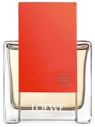 Loewe Solo EDP 50 ml