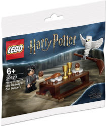 LEGO® Harry Potter™ - Harry Potter és Hedwig (30420)
