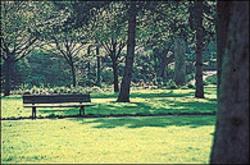 Cokin A092 Álom 2 Szűrő A Méret (A092)