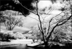 Cokin P007 Infravörös 720 (89b) szűrő P méret (P007)