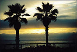 Cokin A050 Cián Szűrő A Méret (A050)