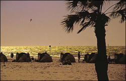 Cokin A163 Polacolor sárga szűrő A Méret (A163)