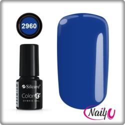 Silcare Color It! Premium 2960#