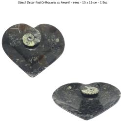 Obiect Decor Fosil Orthoceras cu Amonit - inima - 11 x 10, 5 cm - 1 Buc