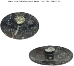 Obiect Decor Bol Fosil Orthoceras - Oval - 18 x 15 cm - 1 Buc