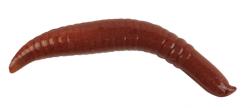Berkley Naluca Berkley Gulp Alive Pinched Crawler, Culoare Nightcrawler, 3cm, 14buc/plic (P.1289607)